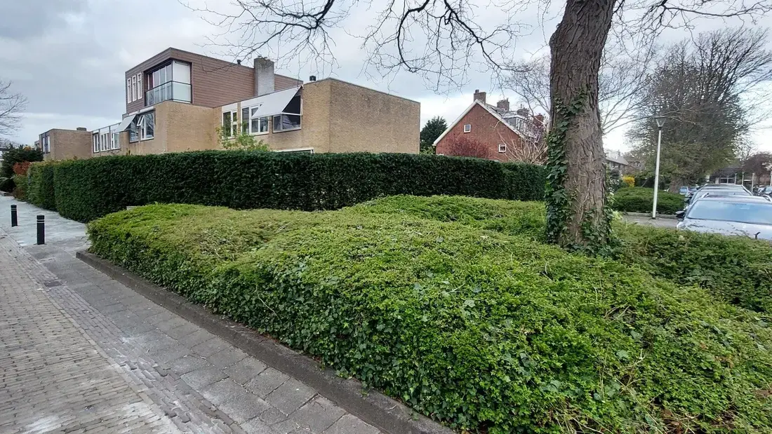 Groenstrook met hagen en gazon bij een wooncomplex